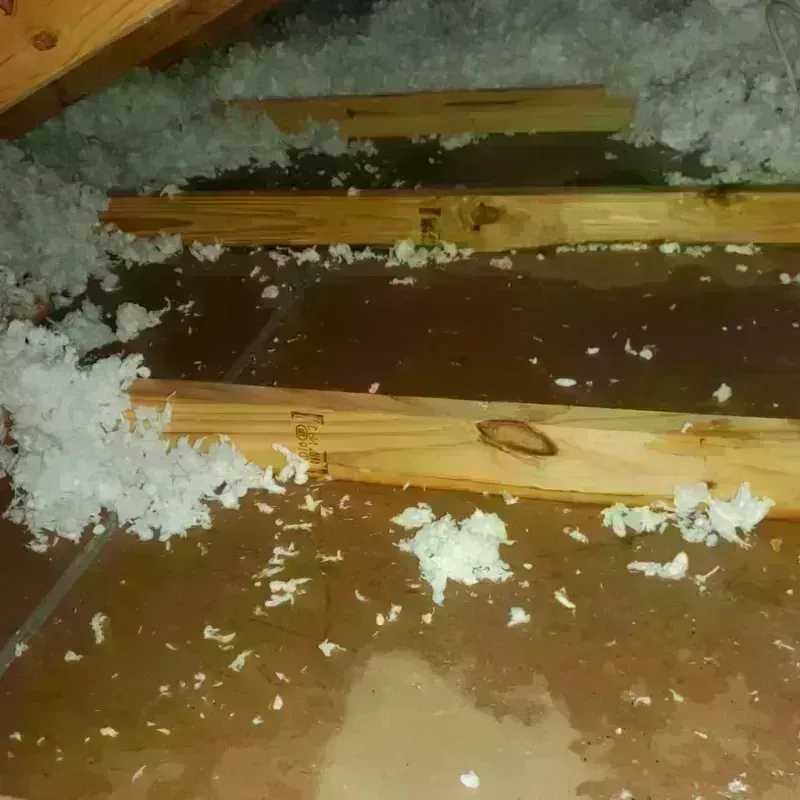 Attic Water Damage in Milford, UT